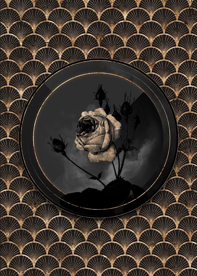 Black Shadowy Cabbage Rose