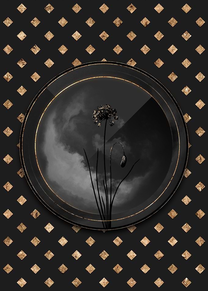 Shadowy Autumn Onion