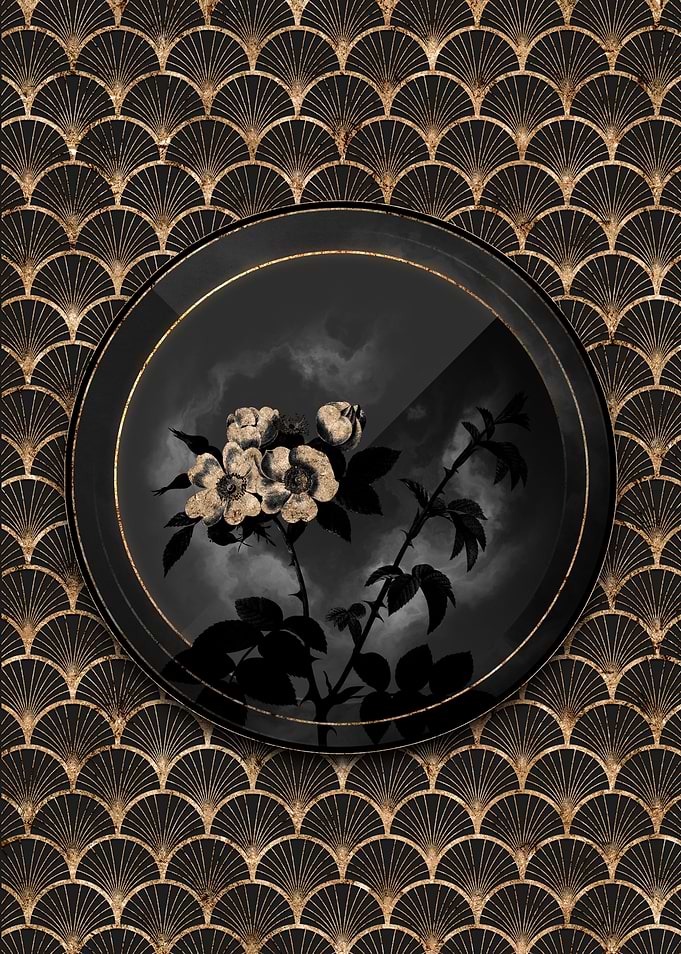 Black and Gold White Rose