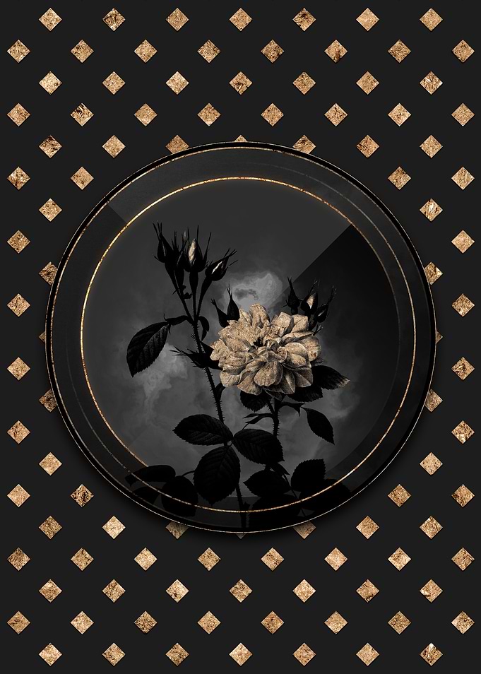 Gold Autumn Damask Rose
