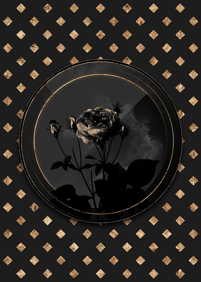 Shadow Black and Gold Rose
