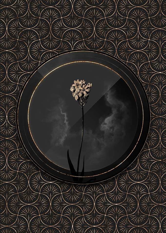 Shadowy Art Deco Flower