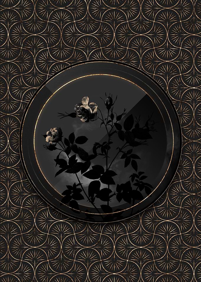Shadow Black and Gold Rose