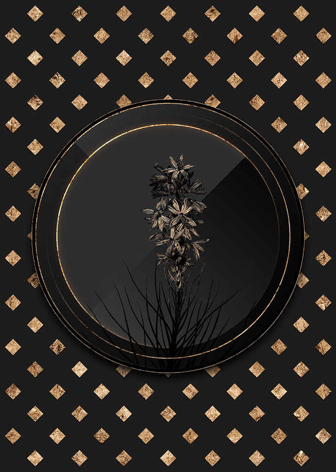 Shadowy Yellow Asphodel
