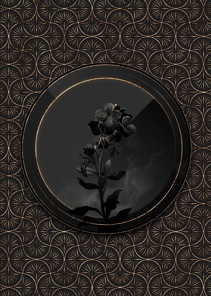 Shadowy Yellow Wallflower