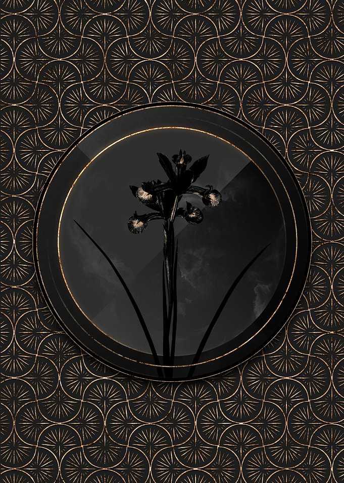 Black and Gold Iris Flower