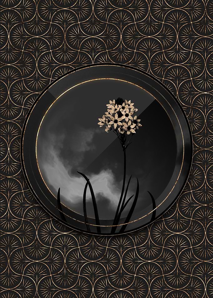 Shadowy Arabian Starflower