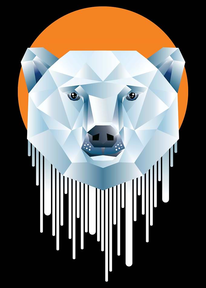 The Bear Downpour