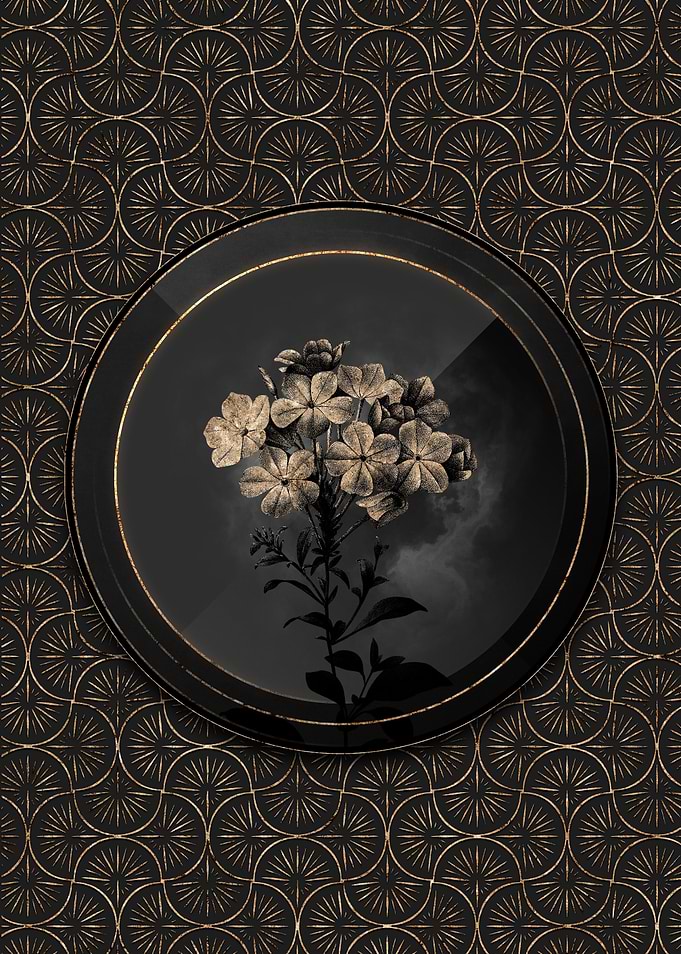 Shadowy Plumbago Caerulea