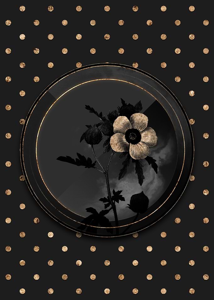 Shadowy Gold Venice Mallow