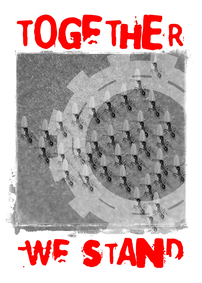 Together We Stand Ants