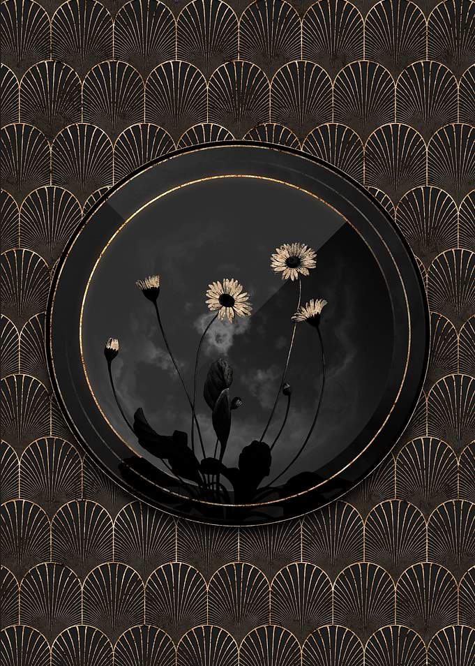 Black and Gold Daisy Flora