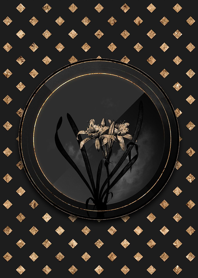 Shadowy Gold Sea Daffodil