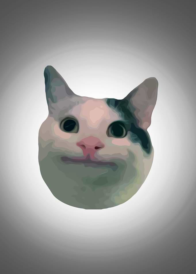 Funny cat face