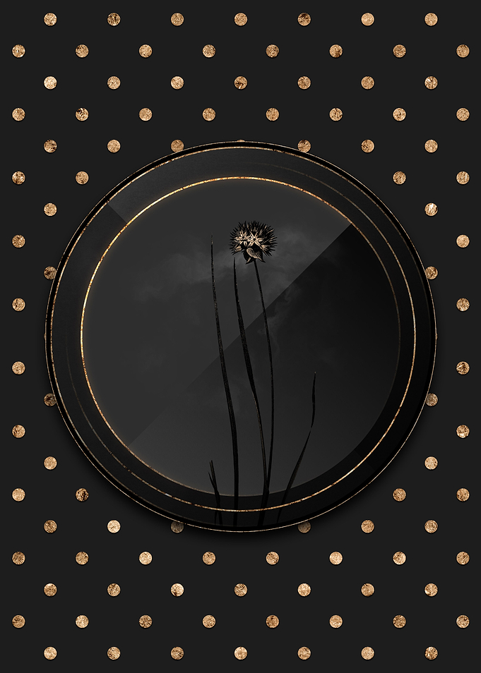 Shadowy Allium Flower Art