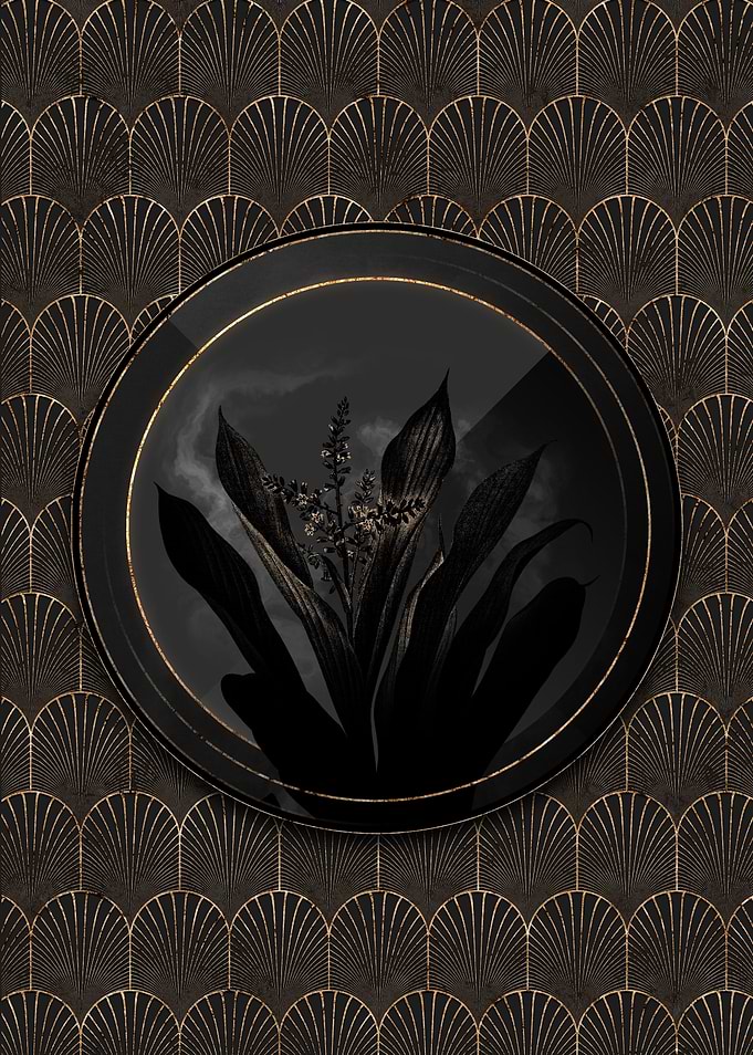 Shadow Cordyline Fruticosa