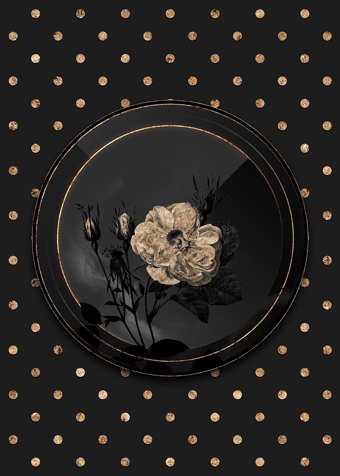 Shadowy White Rose of York