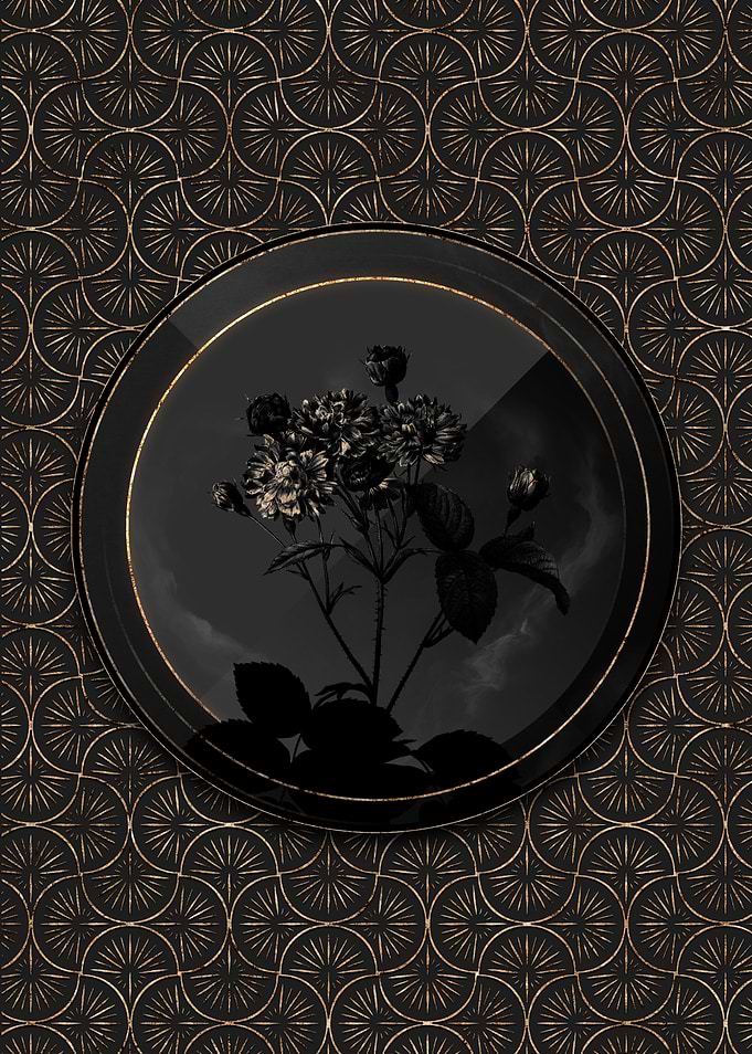 Shadowy Gold Rose Flowers