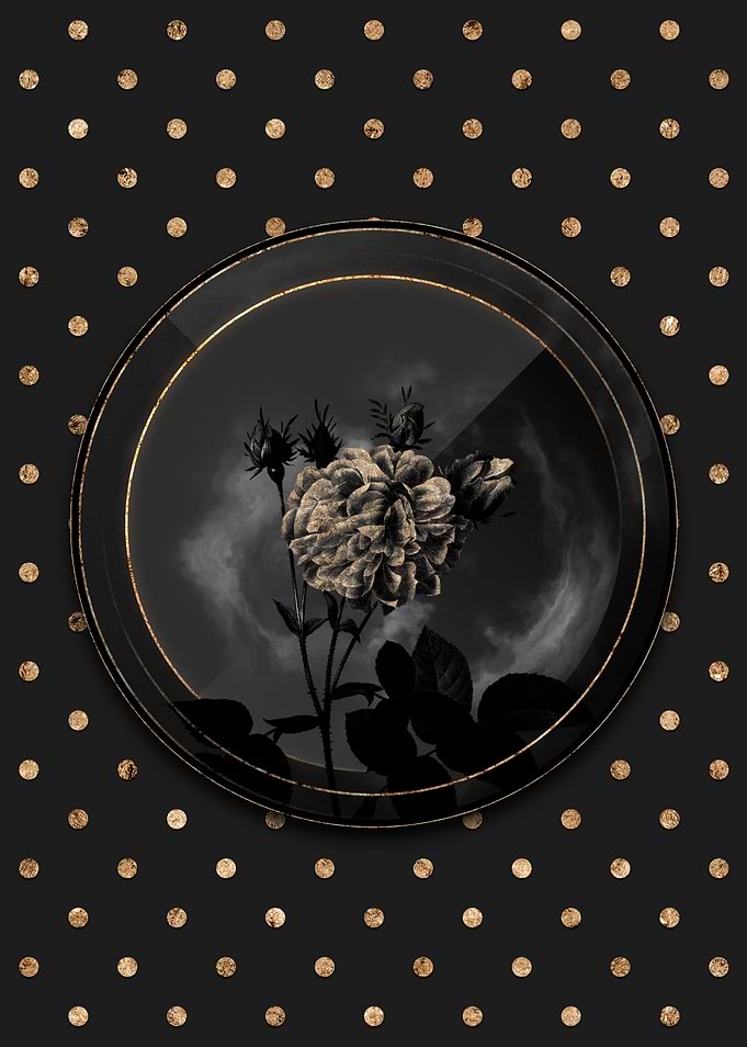 Shadow Black and Gold Rose