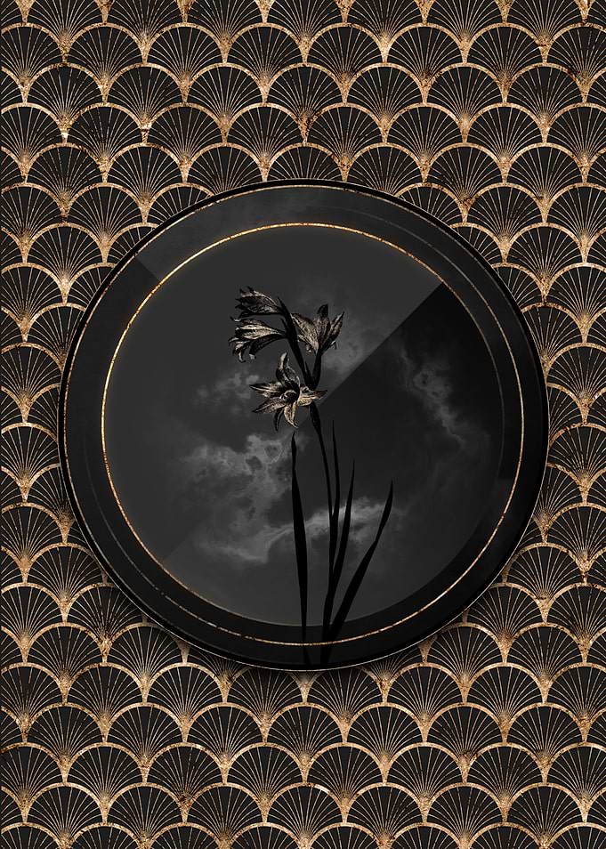 Black and Gold Lily Flower