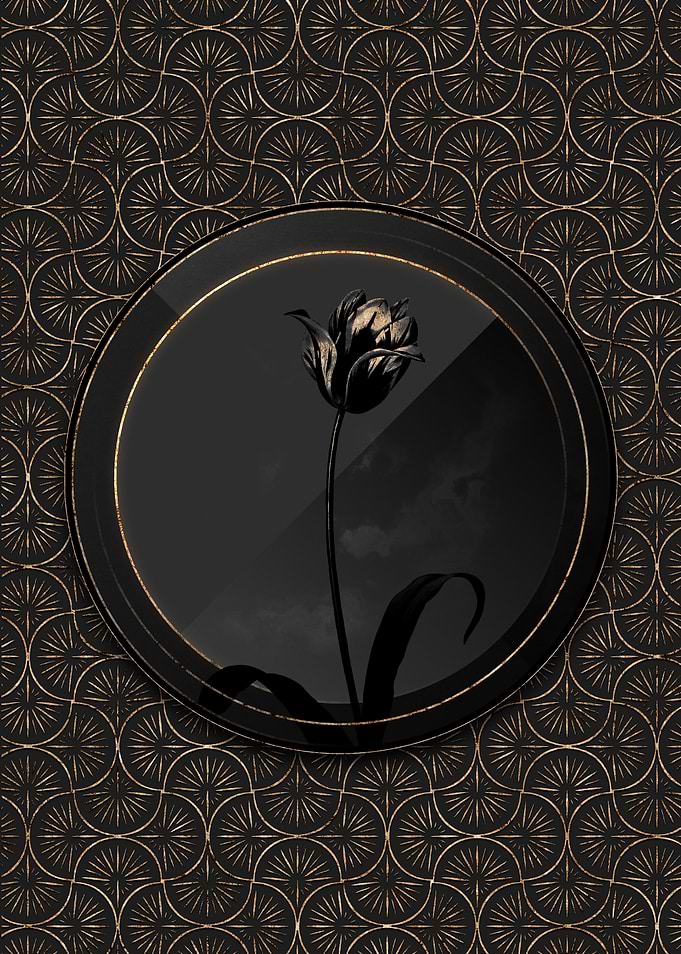 Shadowy Art Deco Tulip