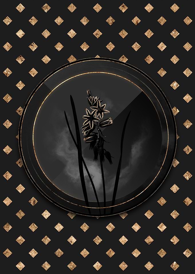 Shadowy Star of Bethlehem