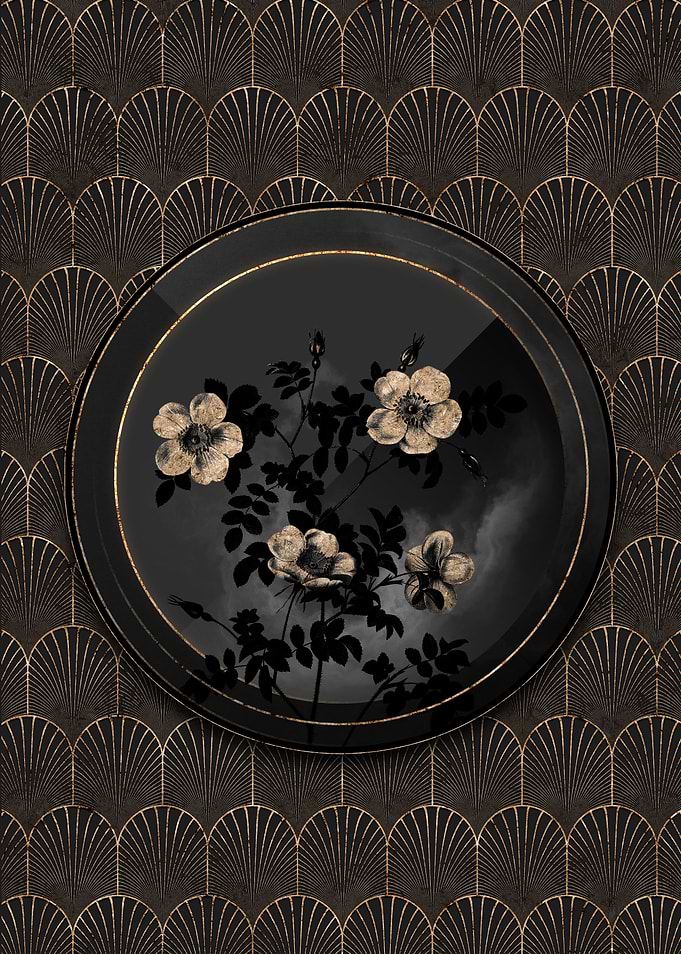 Black and Gold White Rose