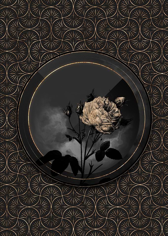 Shadow Gold Provence Rose