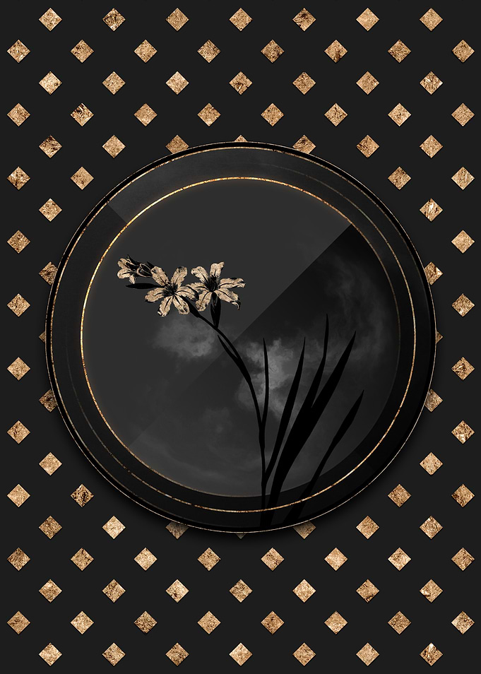 Shadowy Art Deco Gladiolus