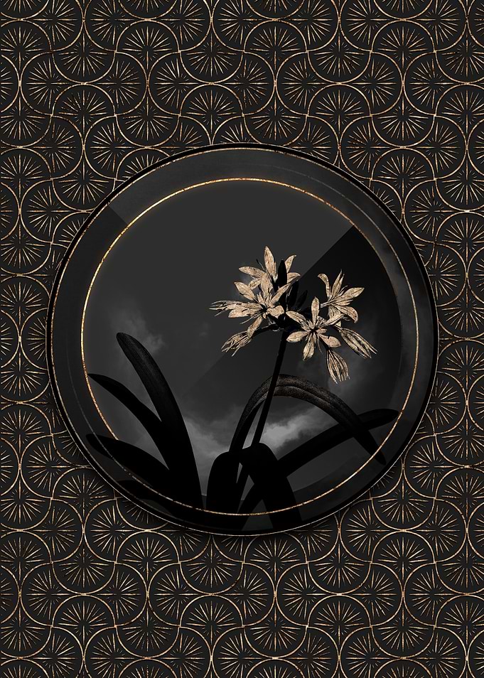 Black and Gold Lily Flower