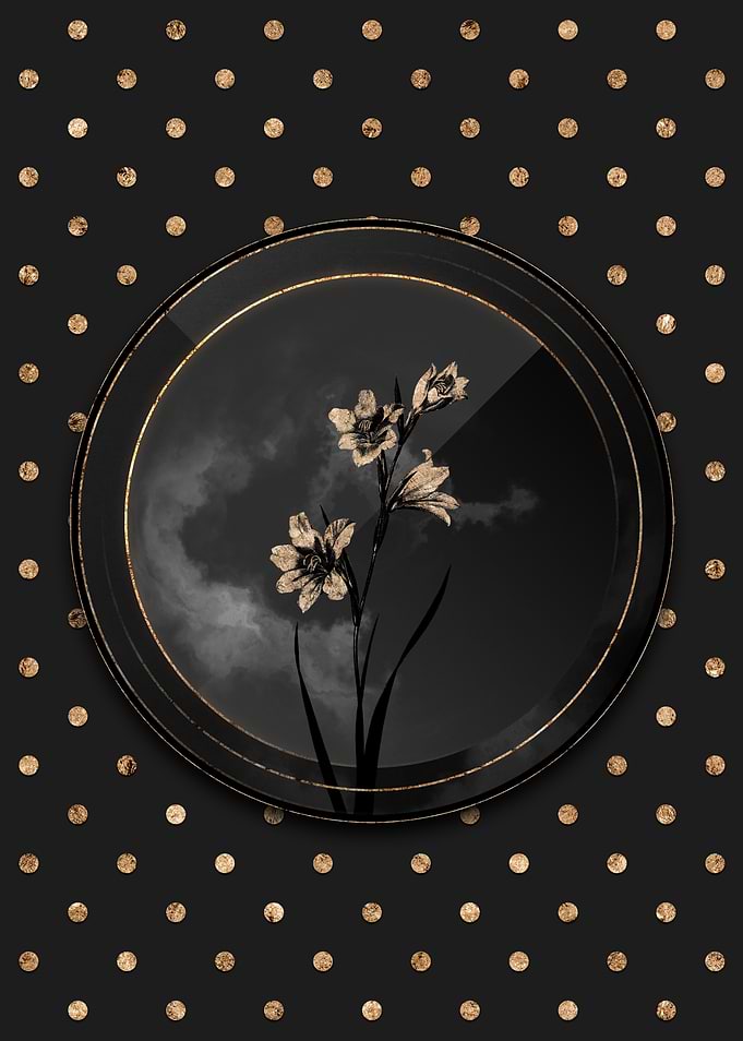 Black and Gold Lily Flower