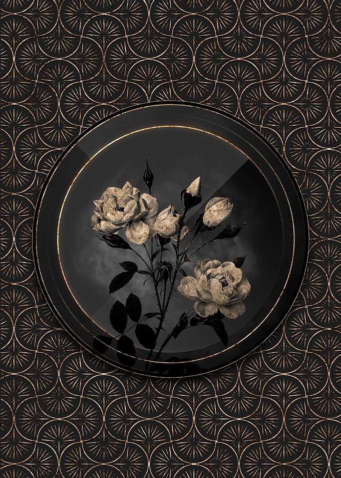Shadowy Gold White Rose