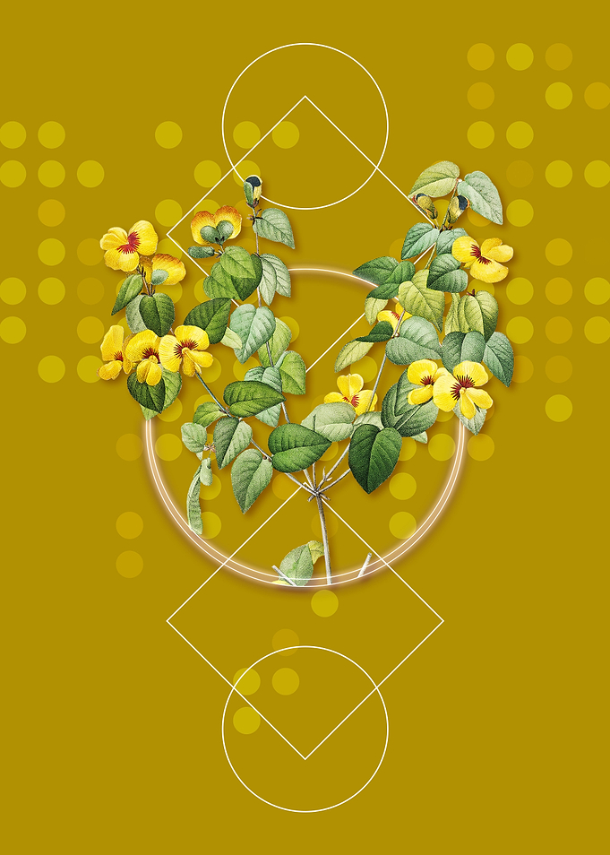 Vintage Platilobium Flower