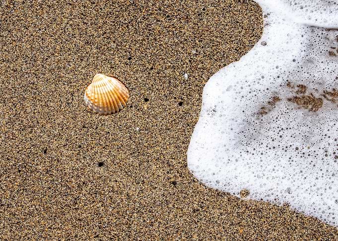 Sea wave on sandy beach