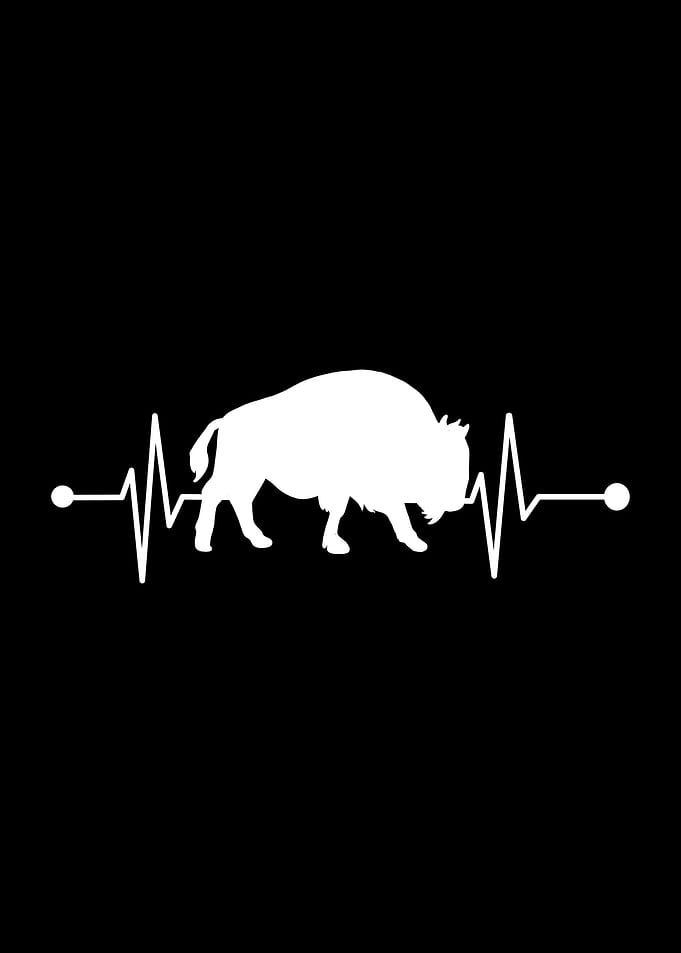 Bison Heartbeat