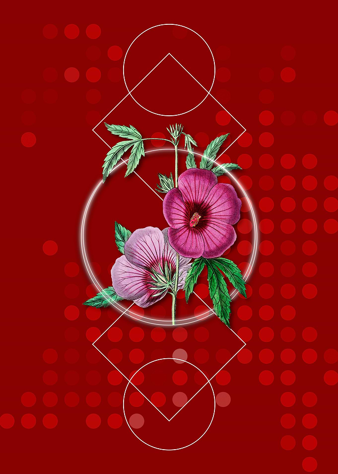 Geometric Hibiscus Flower