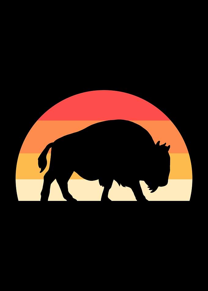 Bison Retro