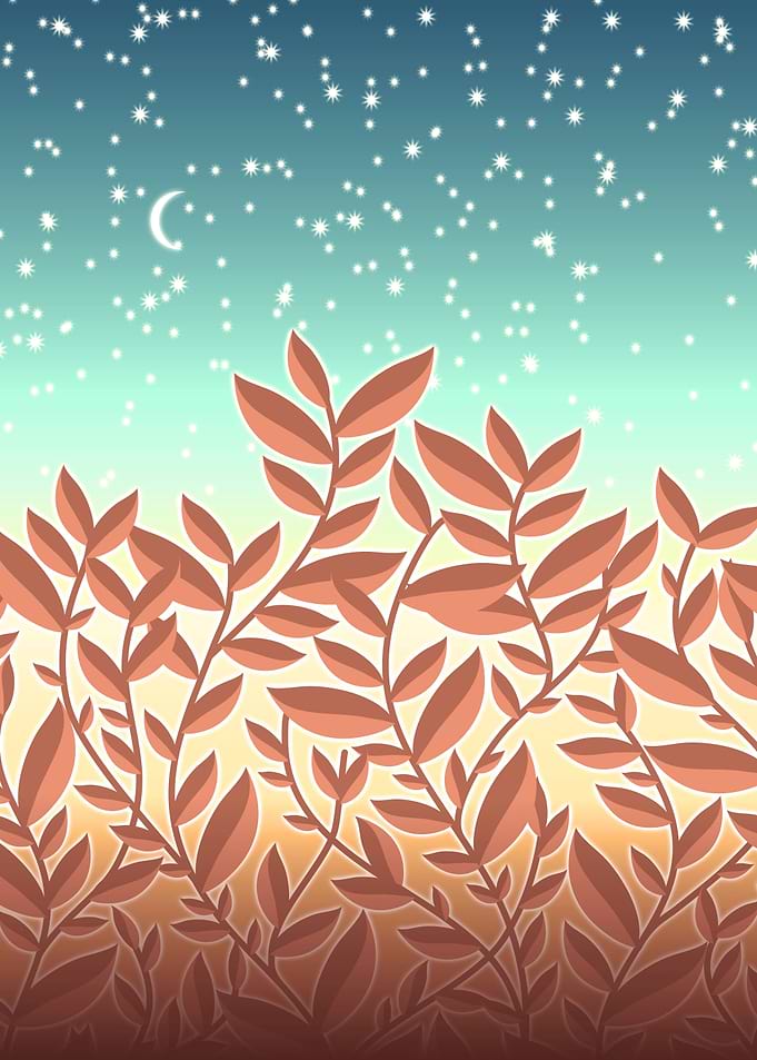 Leaves and star sky
