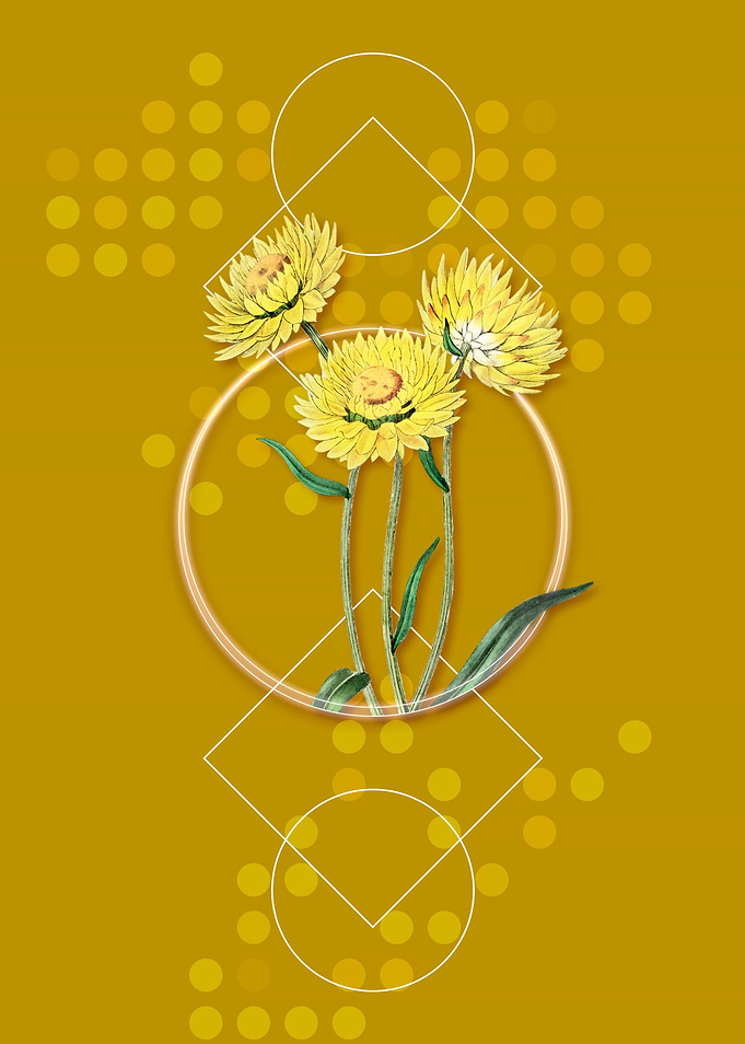 Geometric Helichrysum