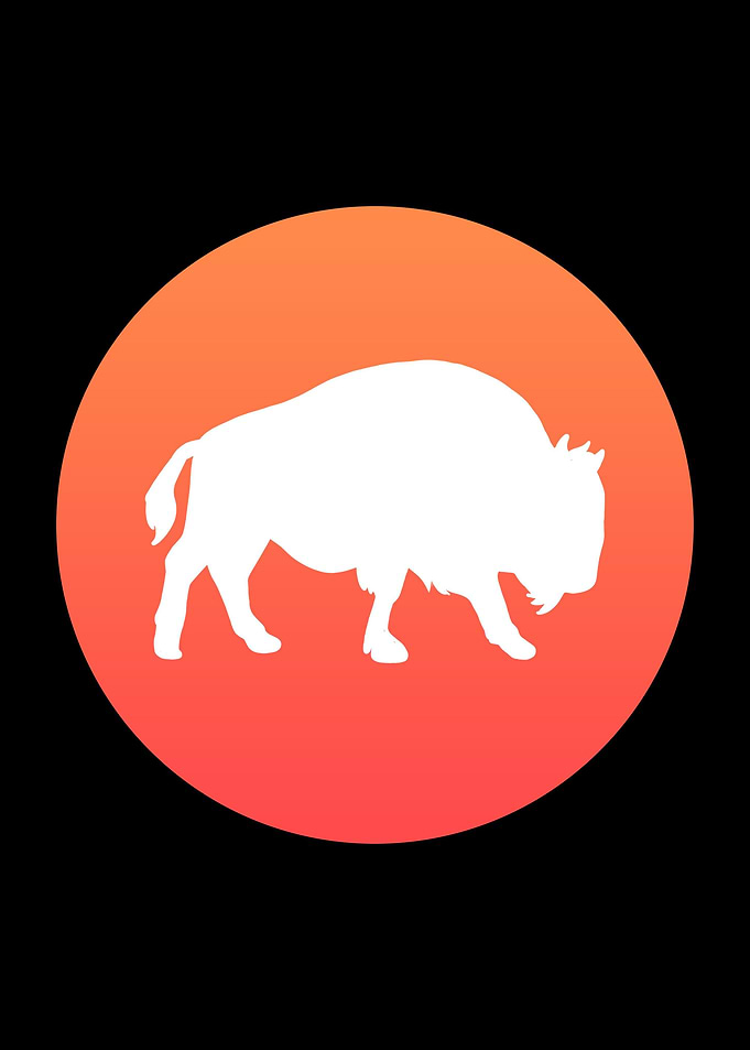 Retro Bison