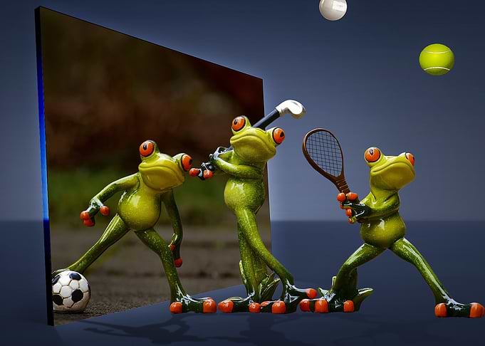 Frog manipulation