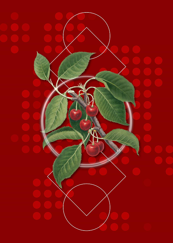 Geometric Sour Cherry