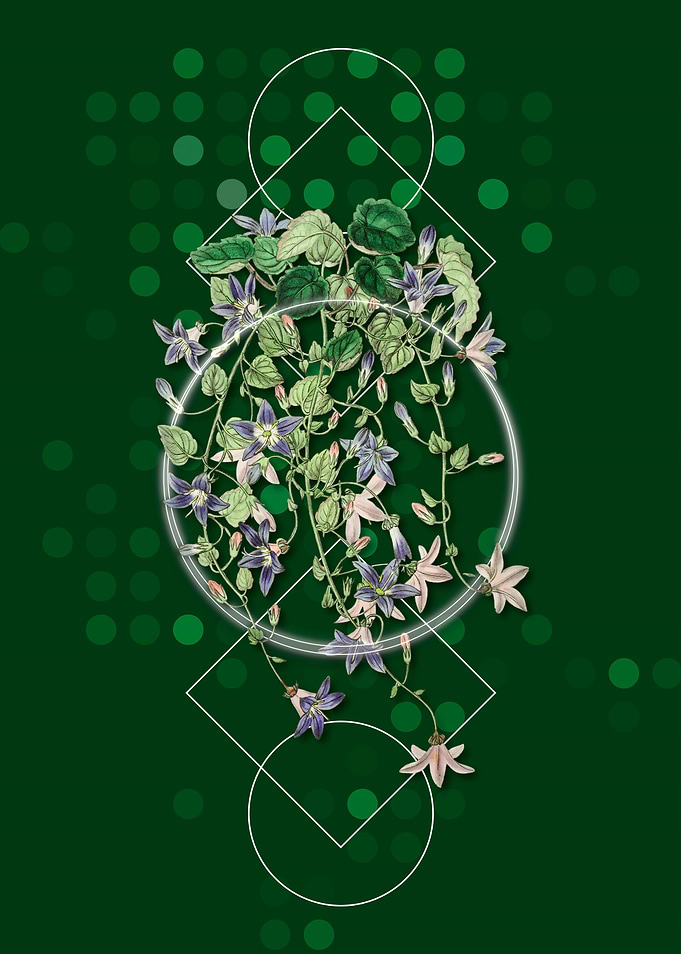 Geometric Harebell Flower