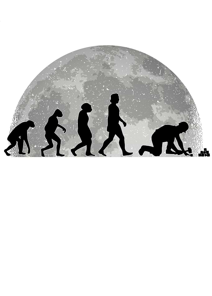 Paver Evolution Moon Stone