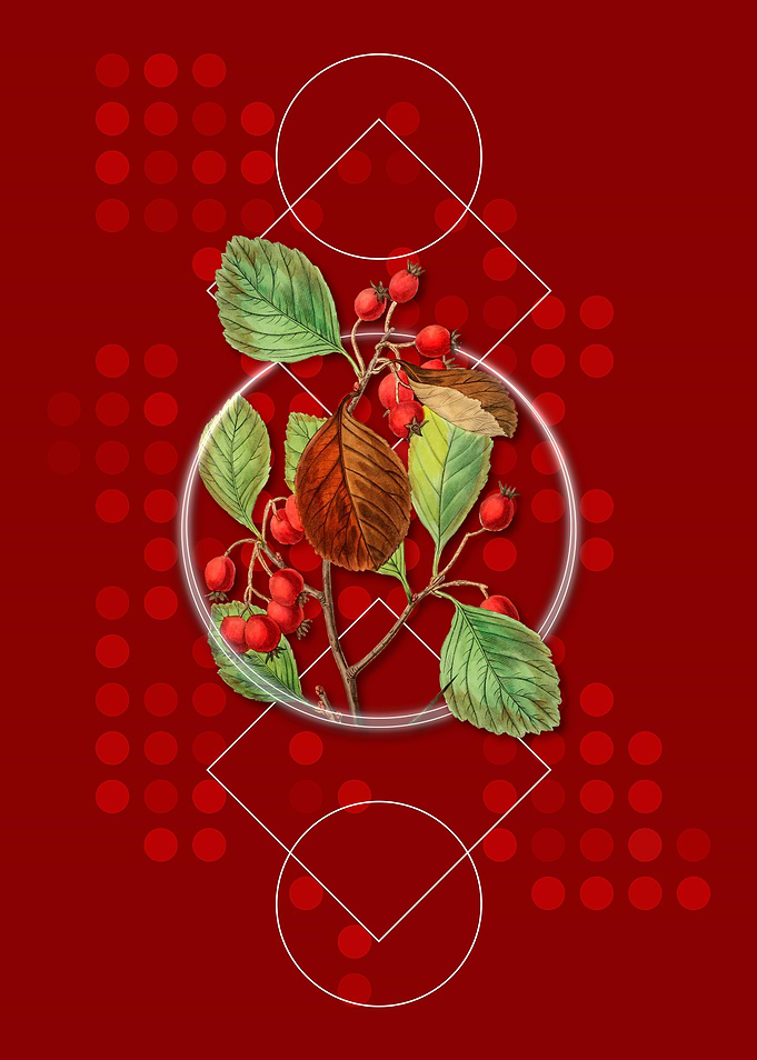 Geometric Thorn Flower