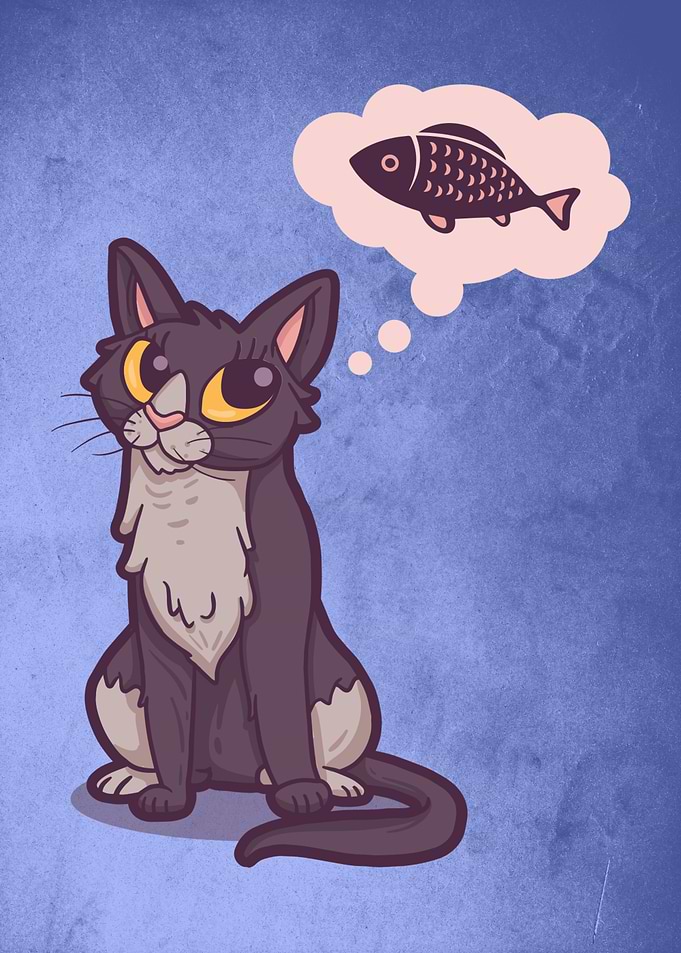 Cute cat lady with fish