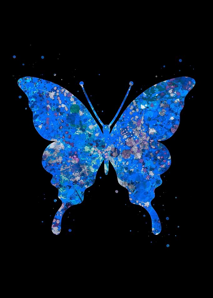 Butterfly blue art