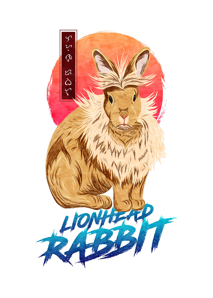 Lionhead Rabbit White