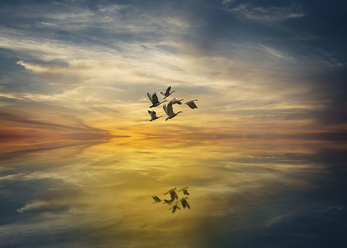 Free and flying
