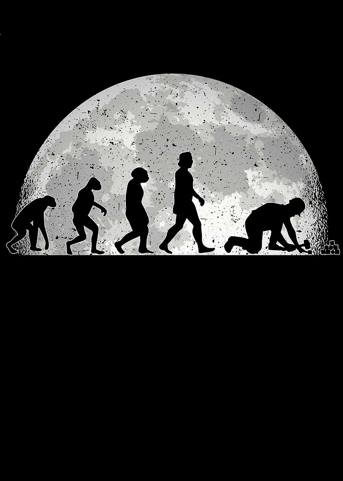 Paver Evolution Moon Stone